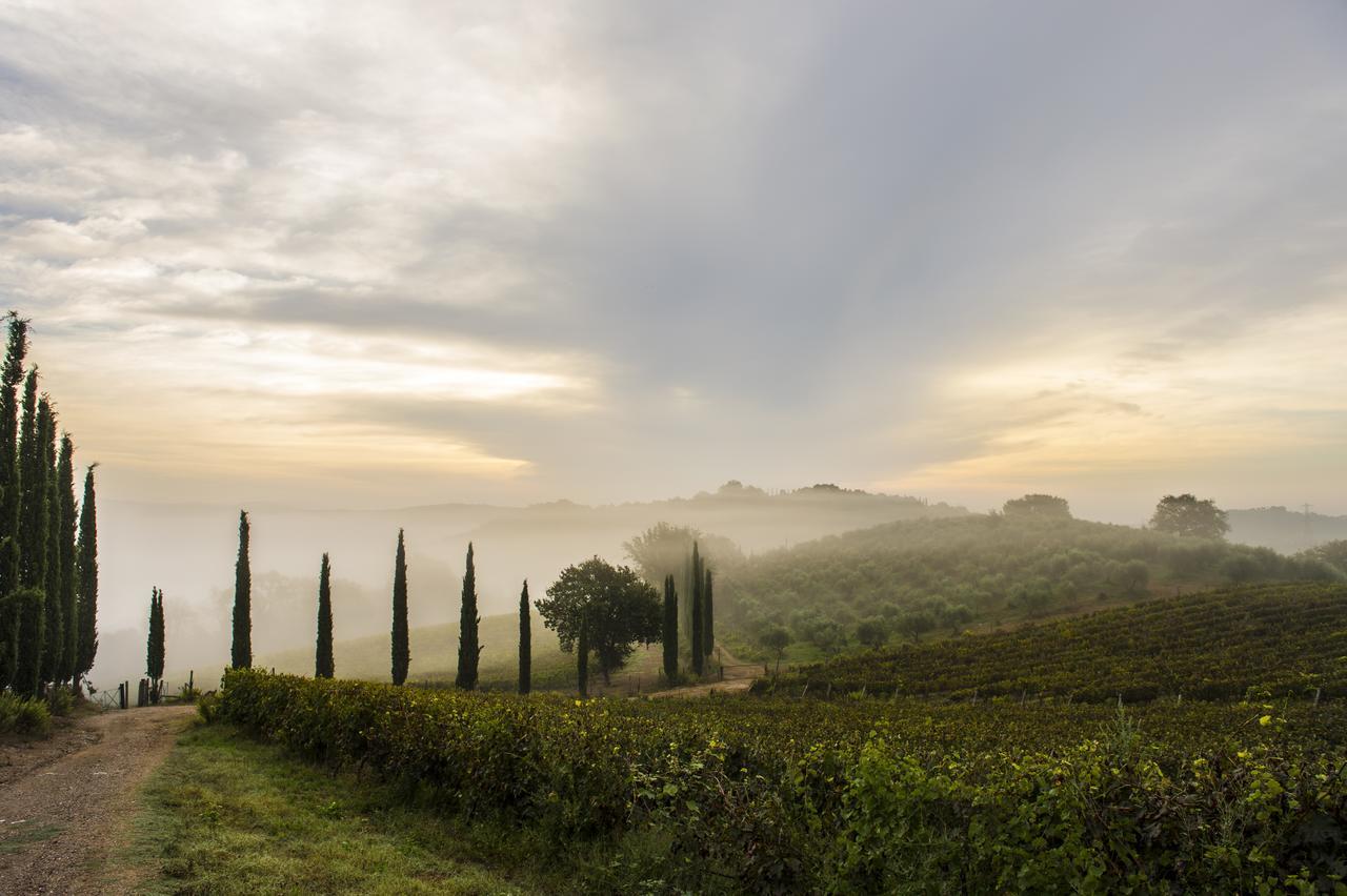 La Pesta Agriturismo Poggio Corbello מראה חיצוני תמונה