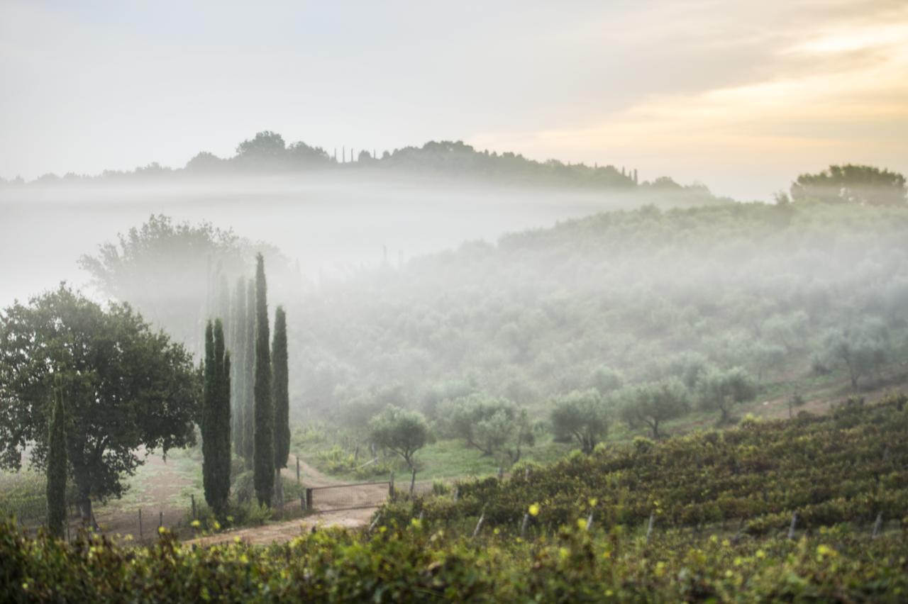 La Pesta Agriturismo Poggio Corbello מראה חיצוני תמונה