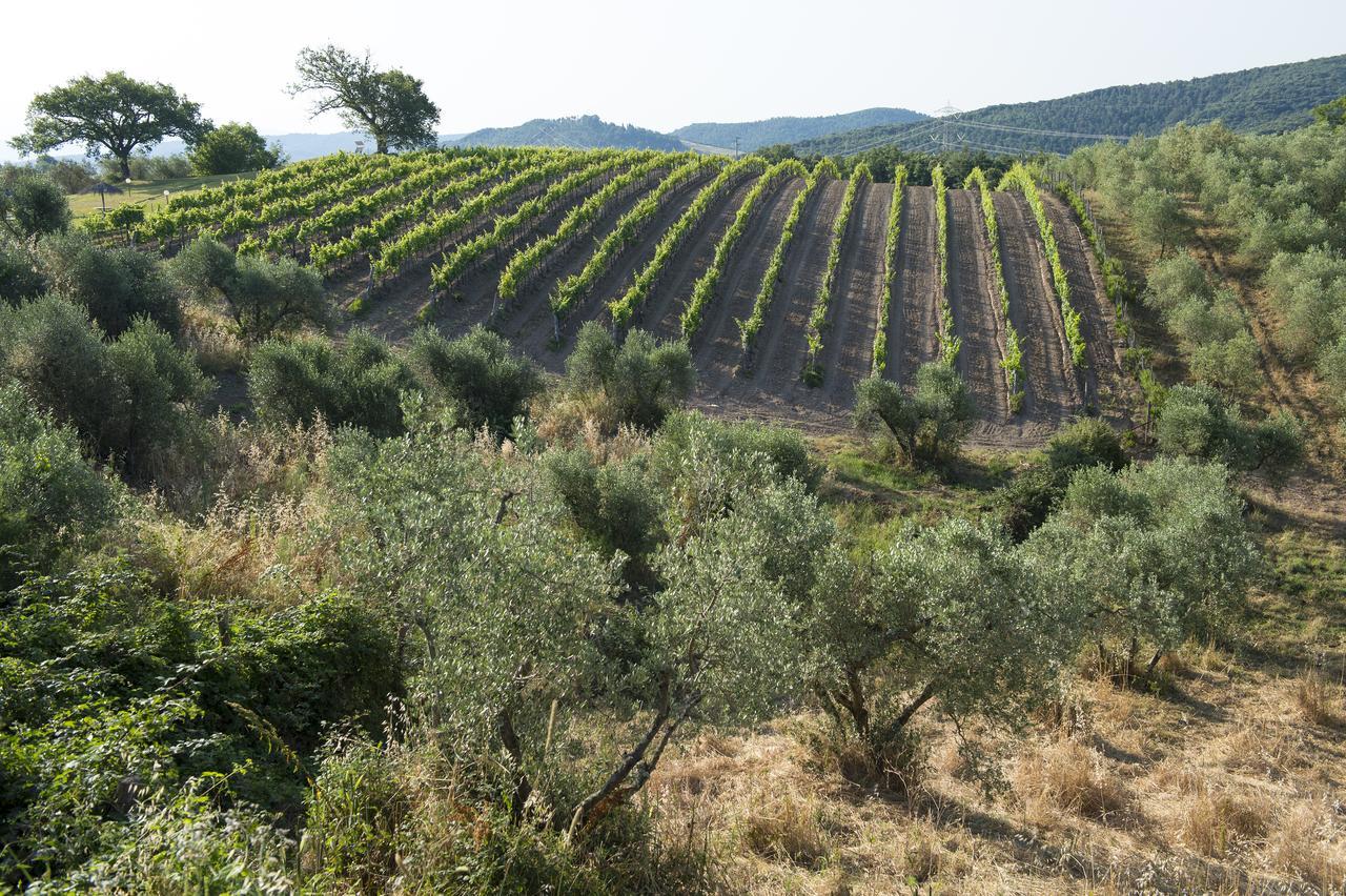La Pesta Agriturismo Poggio Corbello מראה חיצוני תמונה