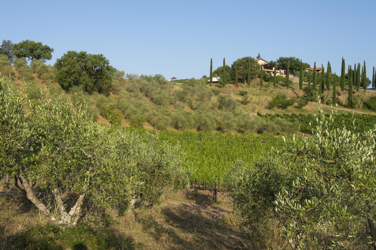 La Pesta Agriturismo Poggio Corbello מראה חיצוני תמונה
