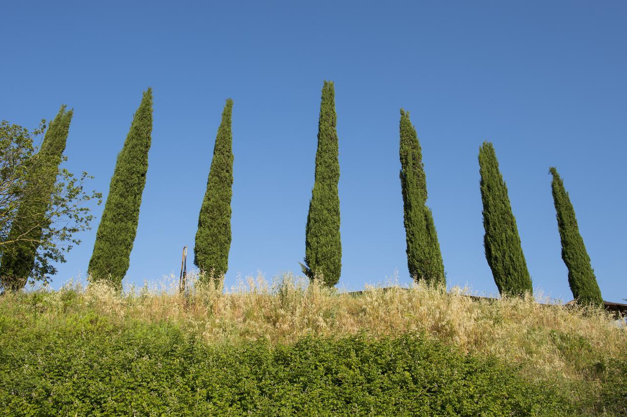La Pesta Agriturismo Poggio Corbello מראה חיצוני תמונה